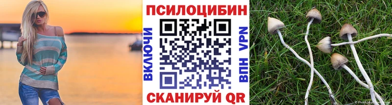 Галлюциногенные грибы ЛСД  Купить где  Новоаннинский 
